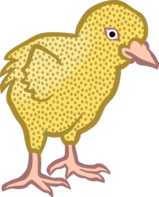 Free animal chick nature vector