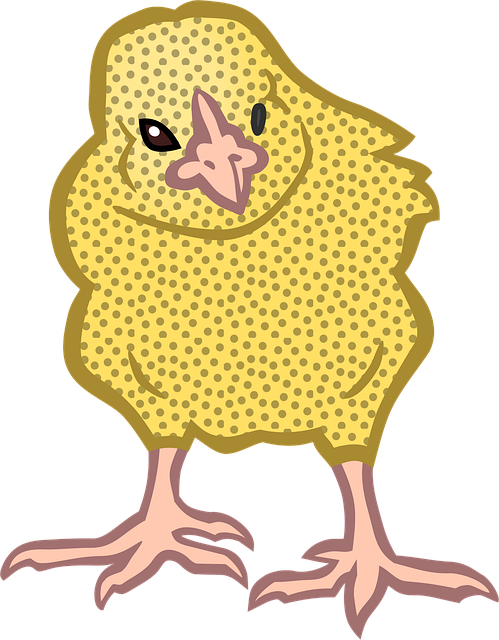 Free animal animals nature vector