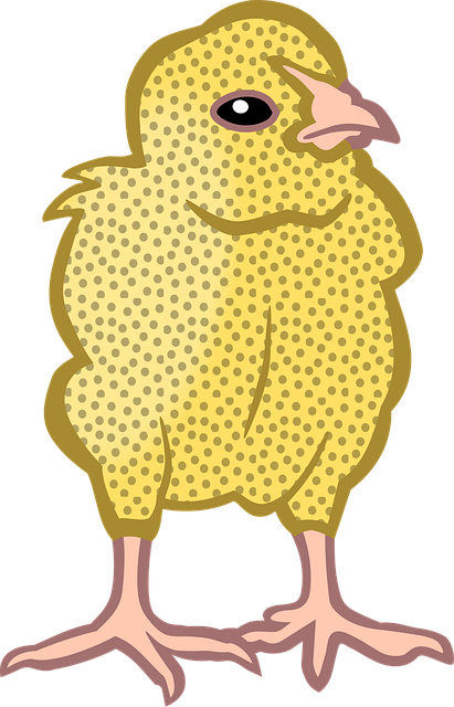 Free animal chick nature vector