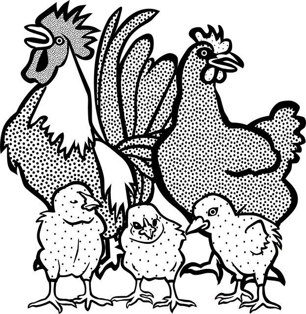 Free animal nature animals illustration