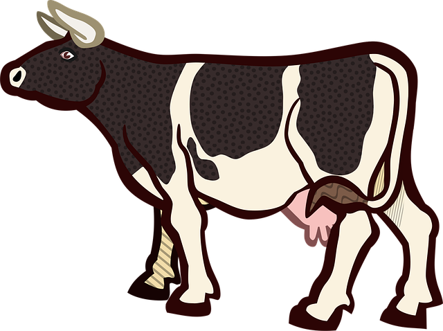 Free Animal Animals vector and picture