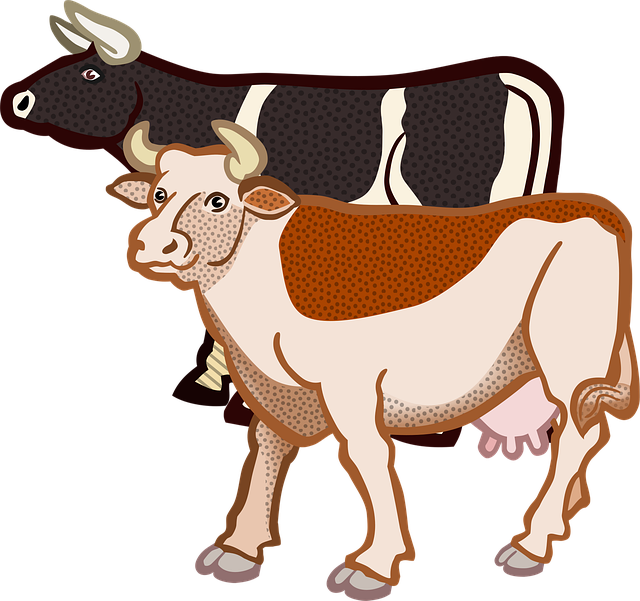Free Animal Cow vector and picture