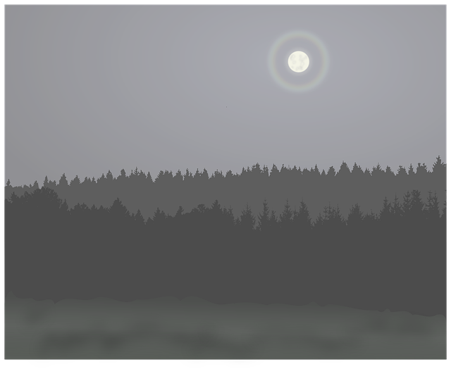 Free dark mist moon vector