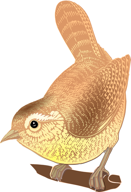 Free bird perched animal illustration