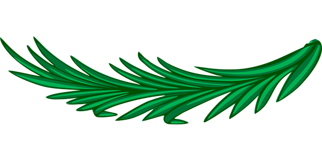 Free branch nature laurel illustration