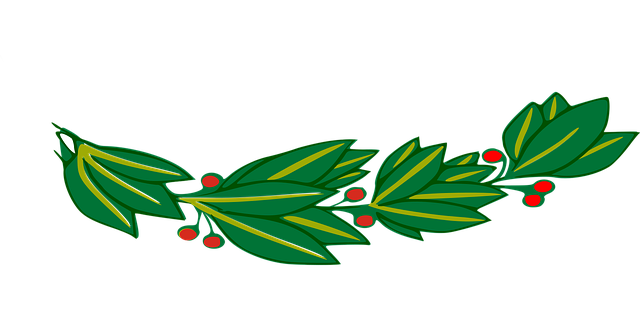 Free branch laurel leaf illustration