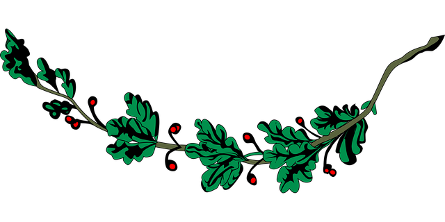 Free branch nature leaf vector