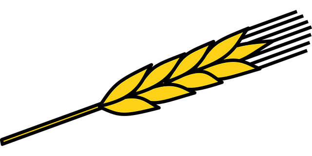 Free corn food maize vector