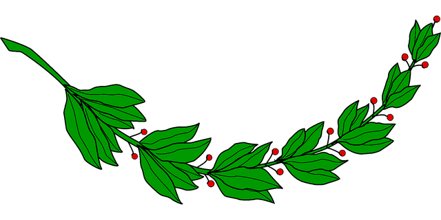 Free branch laurel nature illustration