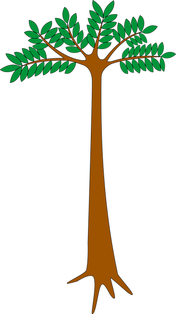 Free hardwood plant nature vector