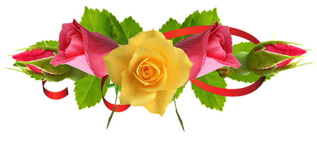 Roser, Blomster, Natur, Gul