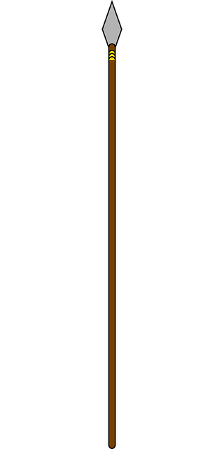 Free battle spear war illustration