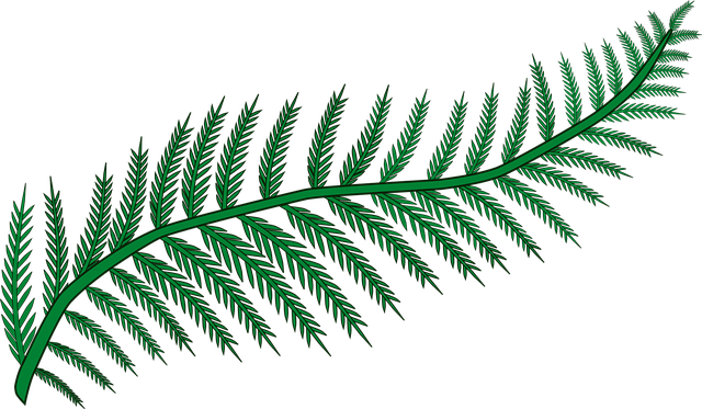 Free branch fern nature vector