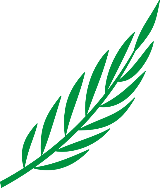 Download free HD stock image of Branch Laurel Free branch laurel leaf illustration