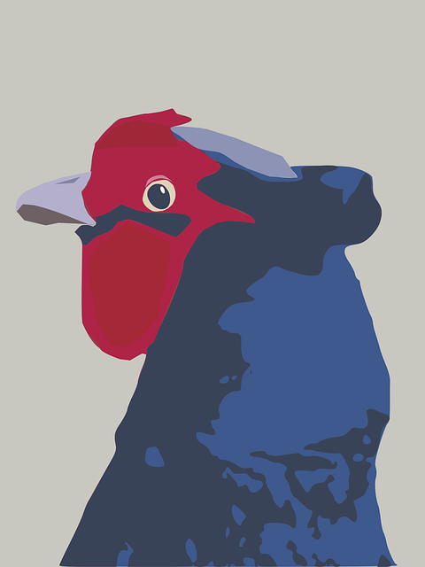Free bird crest nature vector