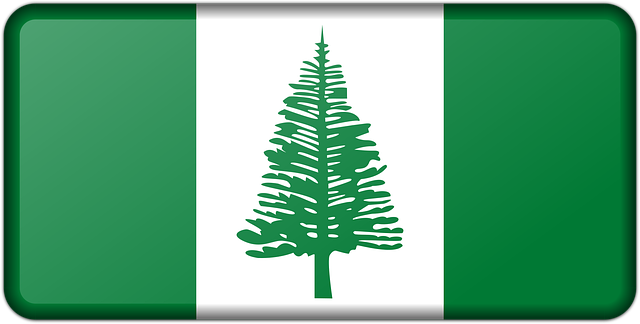 Free banner decoration flag vector