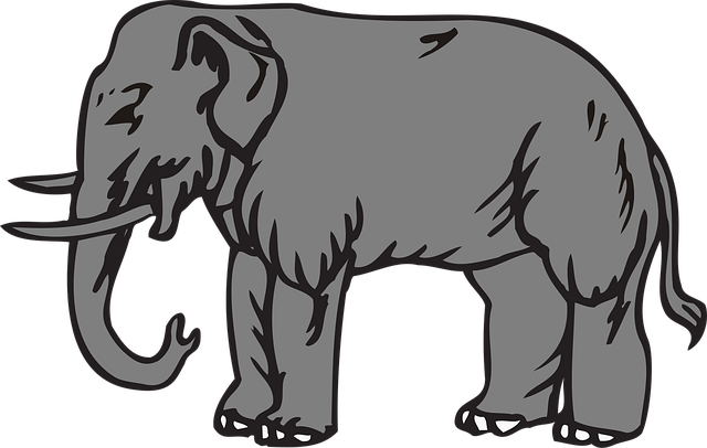 Download free HD stock image of Africa African Free africa african animal vector