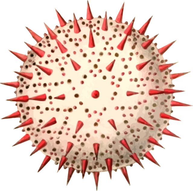 Free grain plant pollen vector