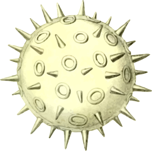 Free grain plant pollen vector
