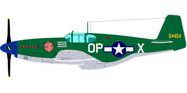 Luftfartøy, Jagerfly, Usa, Ww2