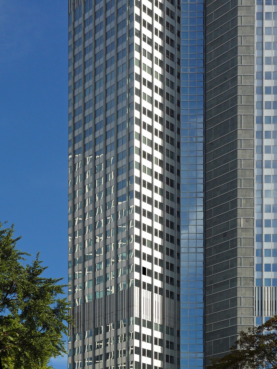 Skyscraper Skyline Skyscrapers - Free photo on Pixabay - Pixabay