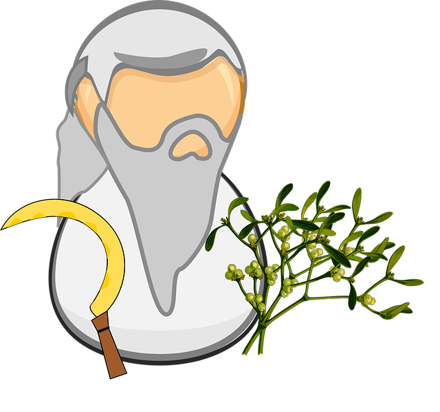 Free celtic comic characters druid illustration