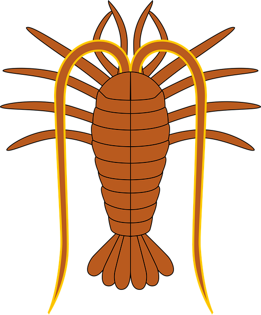 Free animal crustacean lobster vector