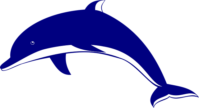 Tier, Natur, Delfin, Meer