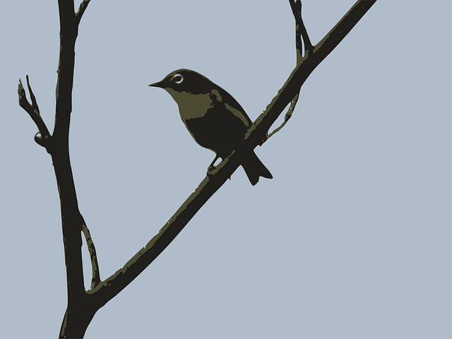 Free bird perched twig vector