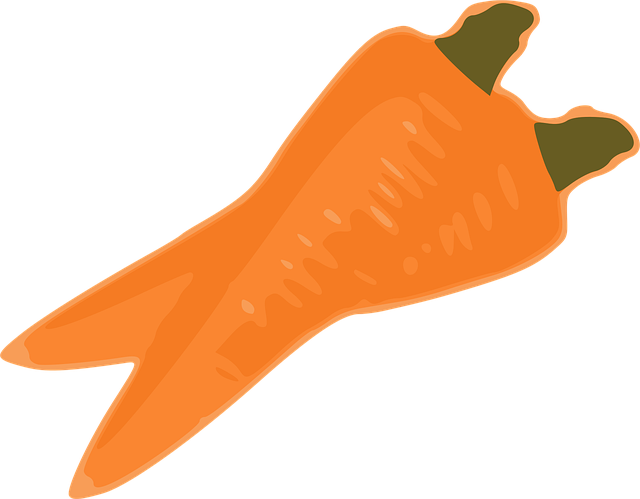 Download free HD stock image of Carrot Orange Free carrot orange vegetable illustration