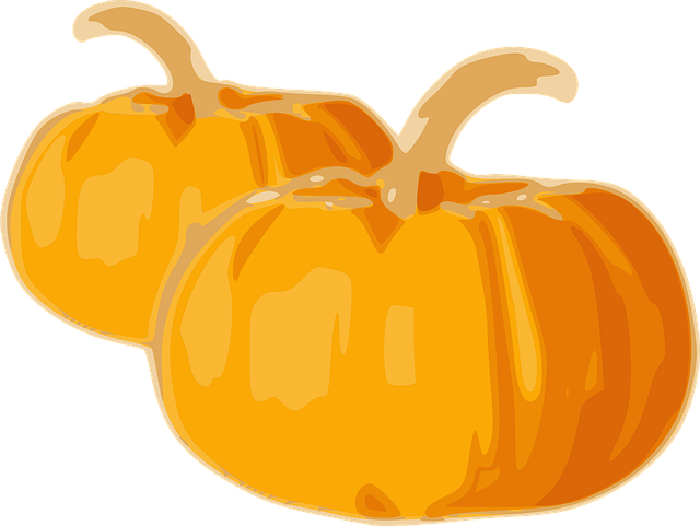 Free pumpkin vegetable yellow vector