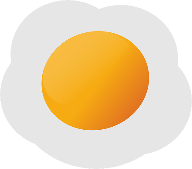 Free egg food yellow vector