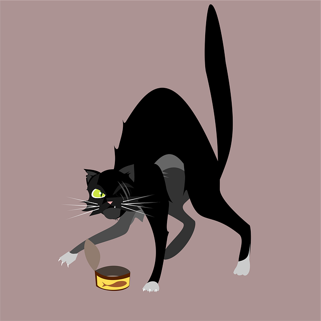 Free cat pet animal vector