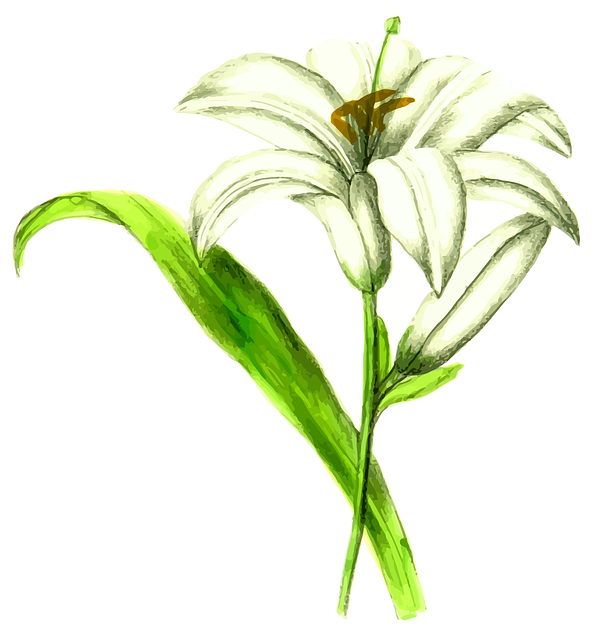 Blumen, Blume, Blatt, Blumen Hintergrund