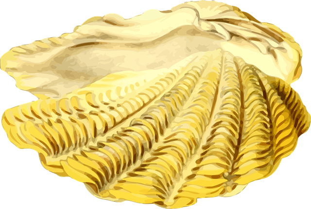 Free animal beach ocean illustration