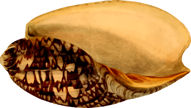 Free animal beach ocean vector