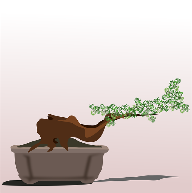 Download free HD stock image of Bonsai Clip Art Free bonsai clip art flora vector