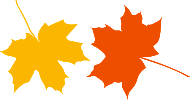 Free Autumn Defoliation vector and picture