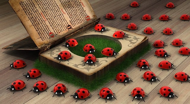 Free ladybug secrets book content illustration