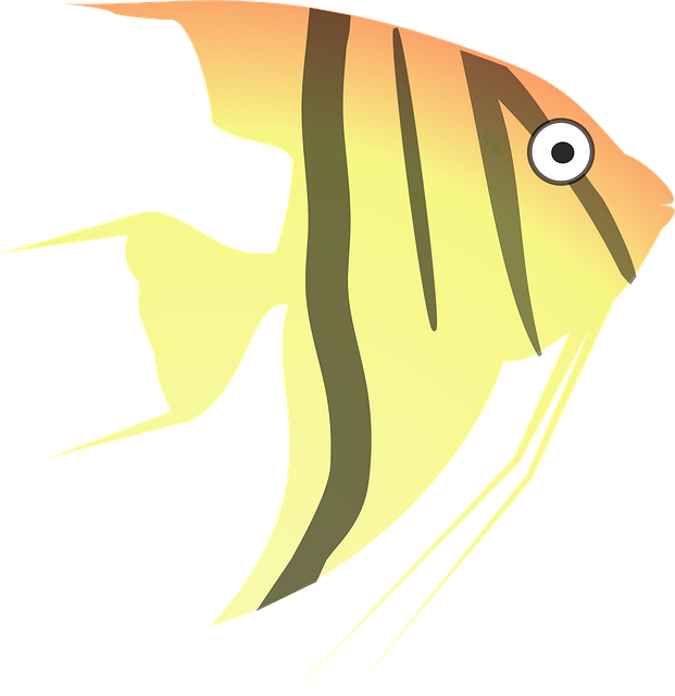 Engel, Karikatur, Natur, Fische, Meer