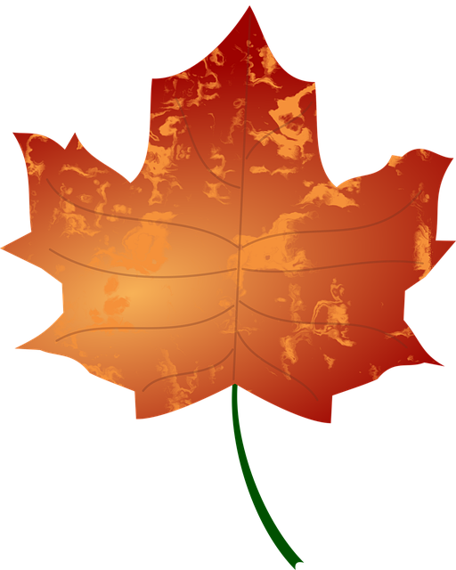 Free autumn colours fall vector
