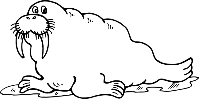 Free walrus odobenus rosmarus seal illustration