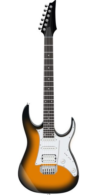 Free Guitar Instrument vector and picture