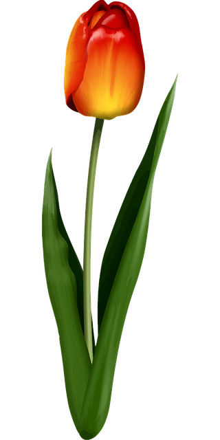 Free floral flower wallpaper flower vector