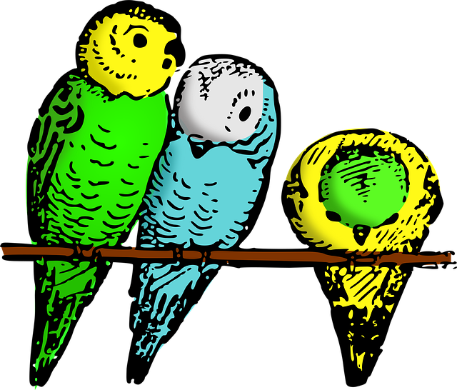 Free animal nature bird illustration