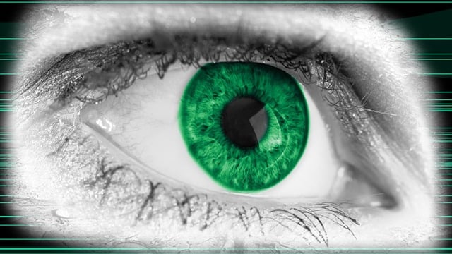 Free eye look iris illustration