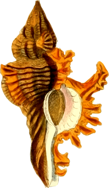 Free animal beach nature illustration