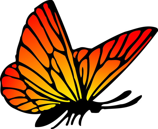 Download free HD stock image of Animal Butterflies Free animal butterflies nature vector