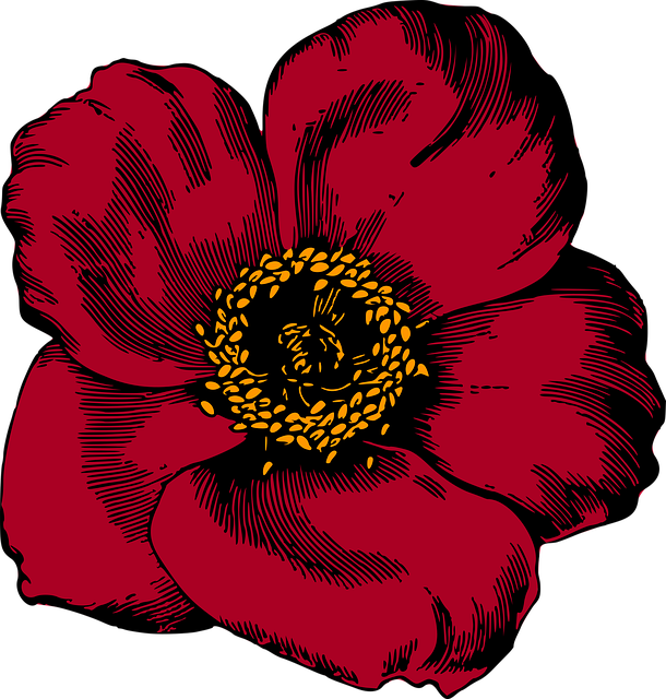 Free floral nature flower background vector