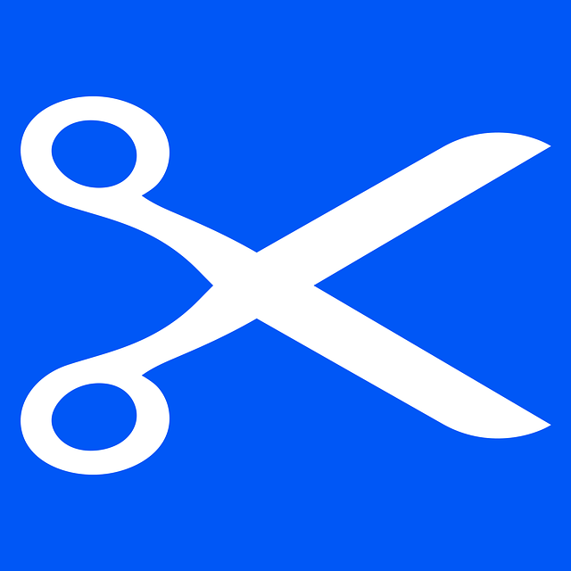 Free scissors cut cutting vector